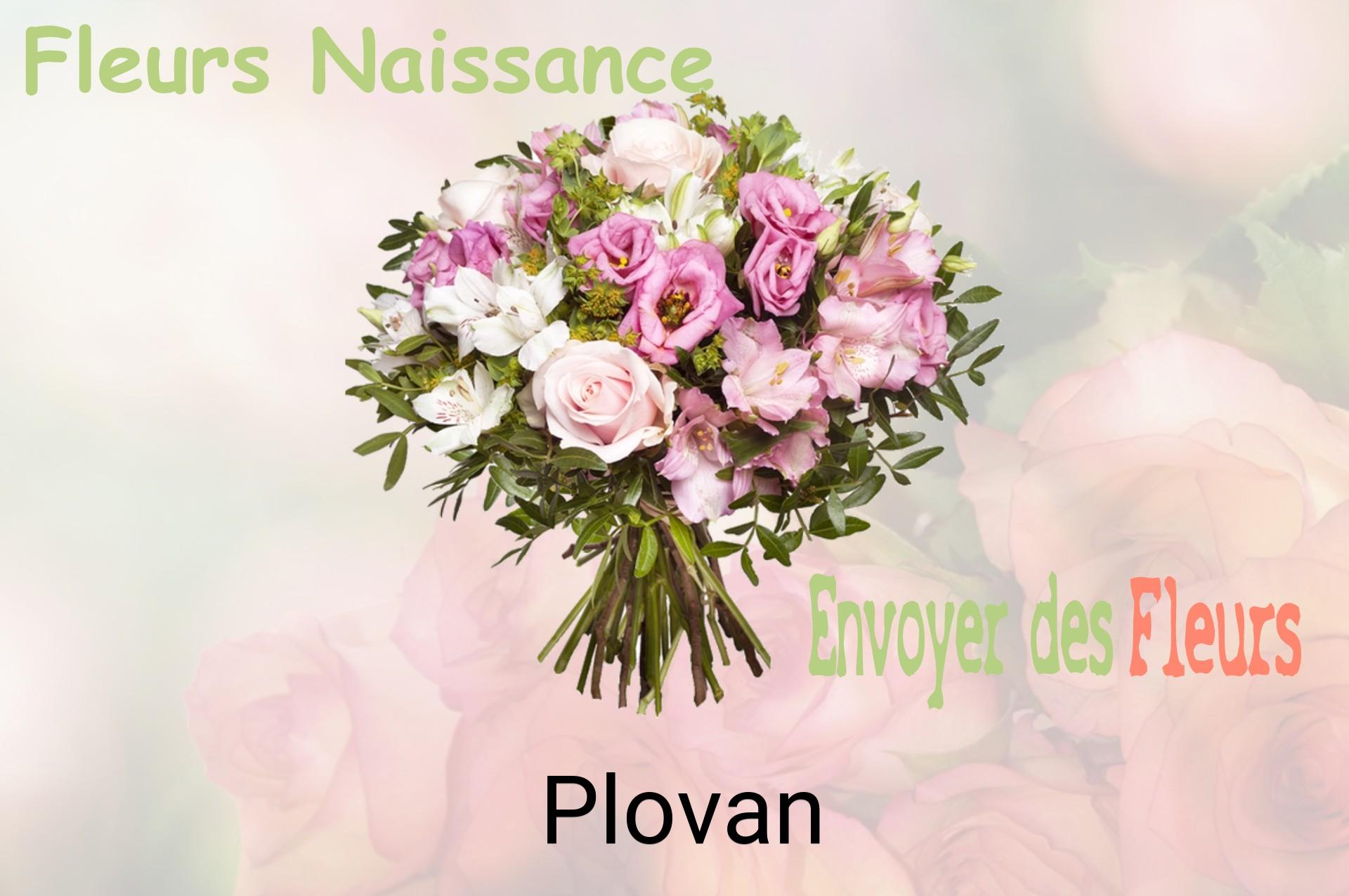 Bouquet de fleurs de naissance livré à Plovan